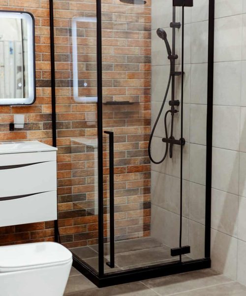 Shower room interior with glass partition, black shower and wall mounted toilet